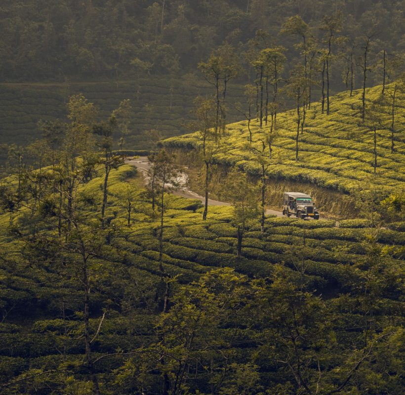 Breathtaking Kerala